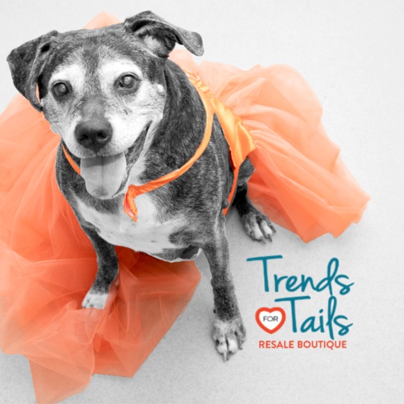 trendsfortails